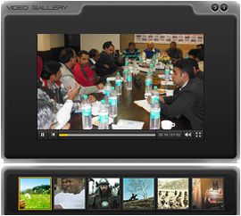 IMAGE & VIDEO GALLERY